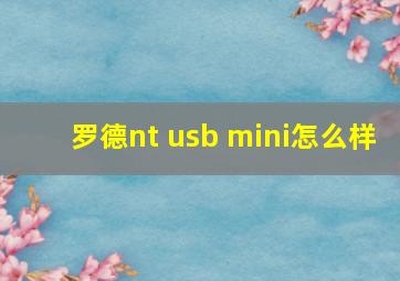 罗德nt usb mini怎么样